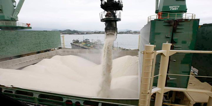 Volume de açúcar com embarque programado passa de 4 milhões de toneladas na semana