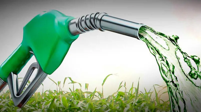 Safra 2024/25 ainda deve ter mais de 50% da cana voltada ao etanol, diz Unica