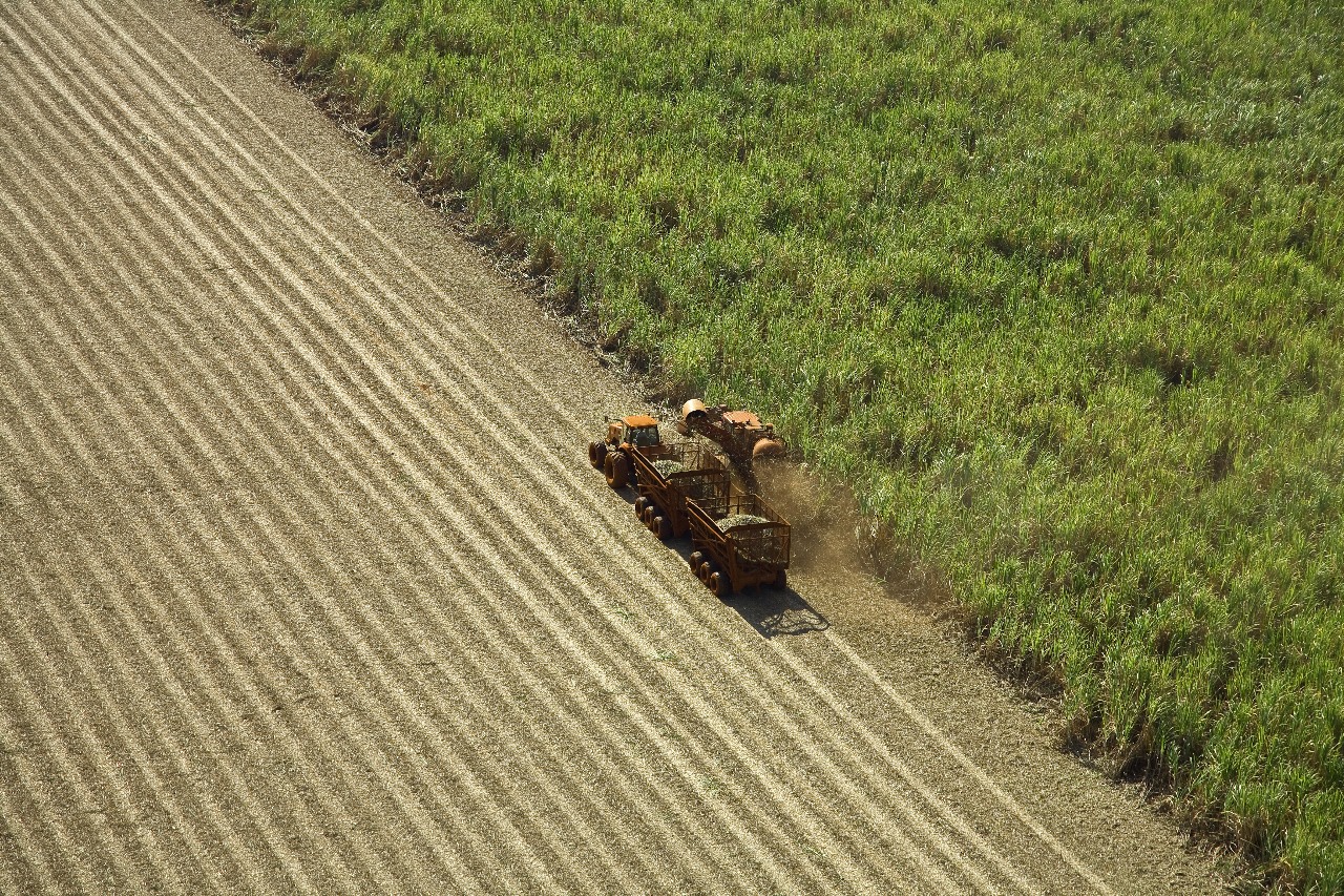 Com 34 milhões de toneladas de cana processadas, moagem cresce 2,75%